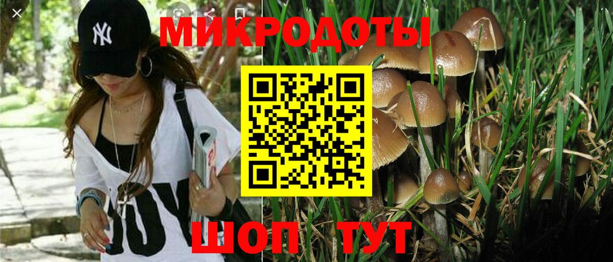 Галлюциногенные грибы мицелий  Вход с VPN  Мичуринск 